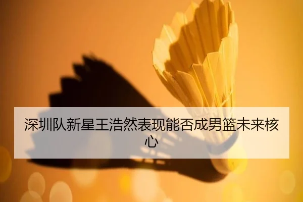 深圳队新星王浩然表现能否成男篮未来核心