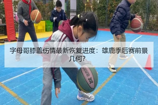 字母哥膝盖伤情最新恢复进度:雄鹿季后赛前景几何?